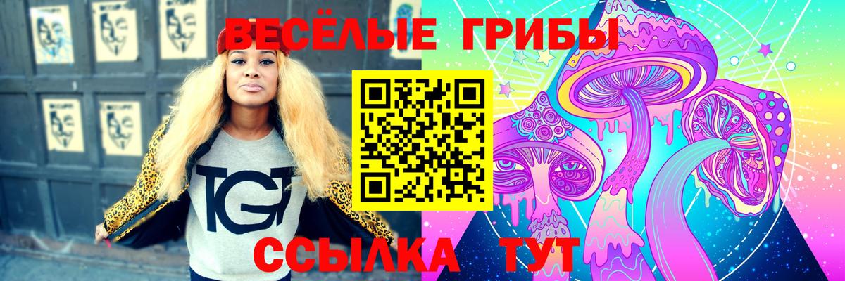 Асино  Псилоцибиновые грибы мицелий  Вход с VPN  Псилоцибиновые грибы Psilocybe 