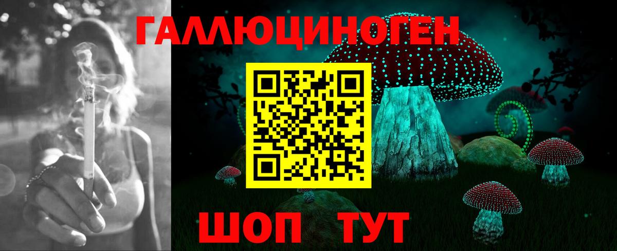 Псилоцибиновые грибы GOLDEN TEACHER Асино